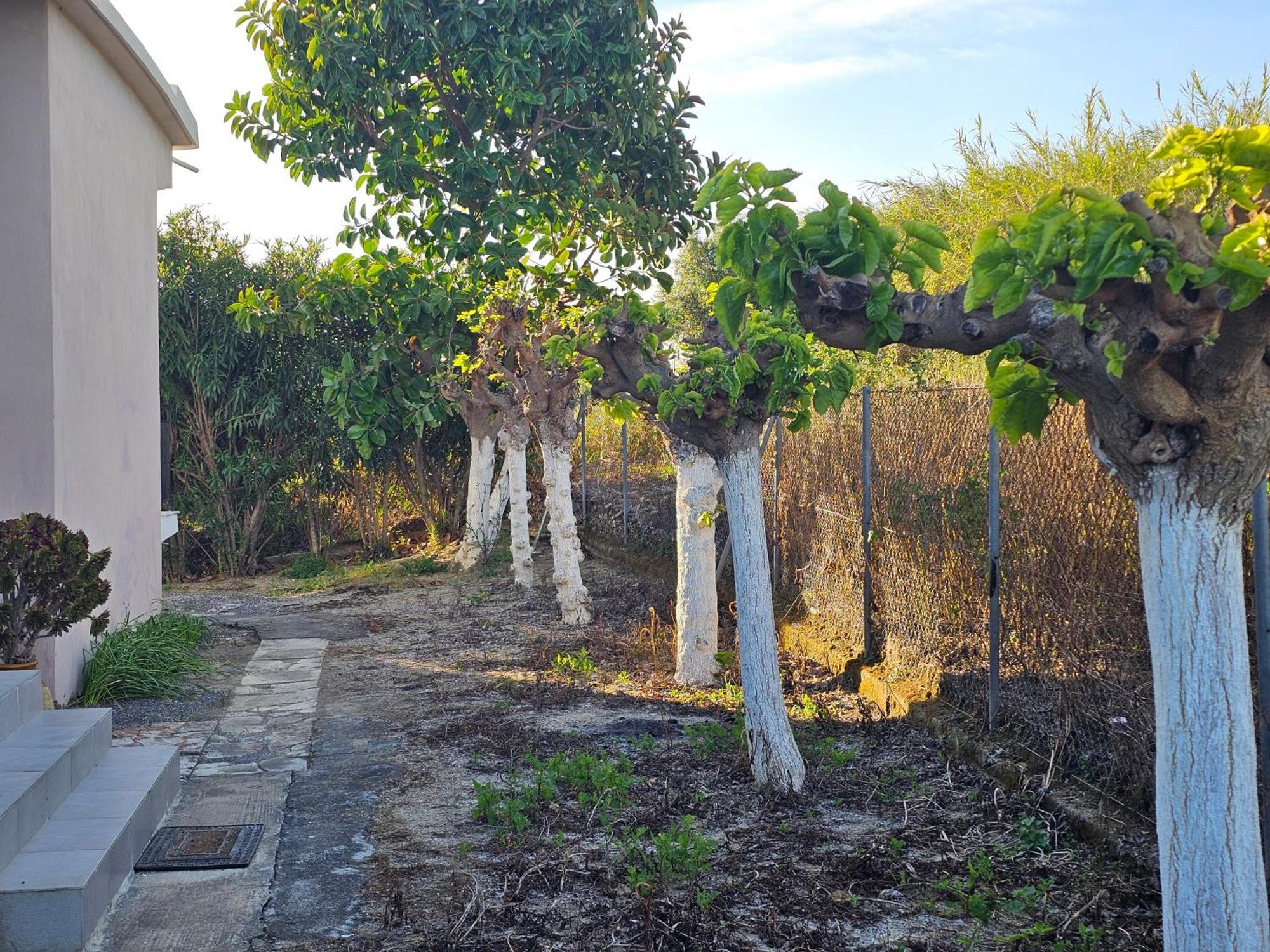 Country Side House Villa โคโรนิ ภายนอก รูปภาพ